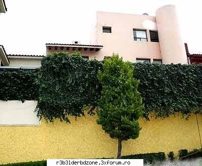 ~Casa lui Anahi~ - Uitati poze cu casa lui Anahi - ~Anahi~