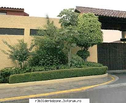 ~Casa lui Anahi~ - ~Casa lui Anahi~ - ~Anahi~