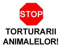 ~STOP TORTURARII ANIMALELOR!~ - INTRATI SI VOTATI PLS - ~INTRATI SI VOTATI!~